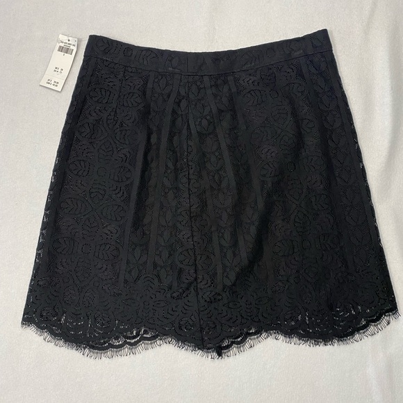 American Eagle Outfitters Dresses & Skirts - 2/$30 NWT American Eagle Black Lace Overlay Zip Up Mini Skirt Size 5 #0719